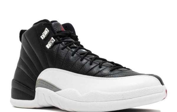 Air Jordan 12 "Playoffs" CT8013-006 What do you think of these shoes?