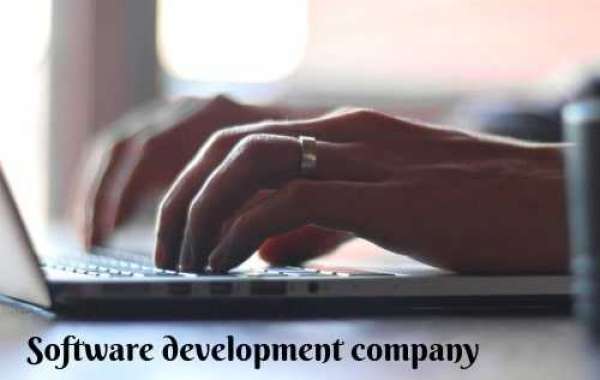 Best Software Development company Tamilnadu