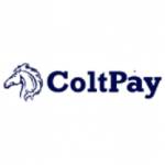 Colt ColtPay profile picture
