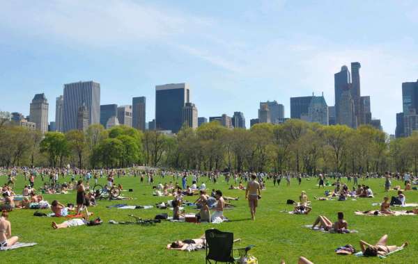 About the Sheep Meadow