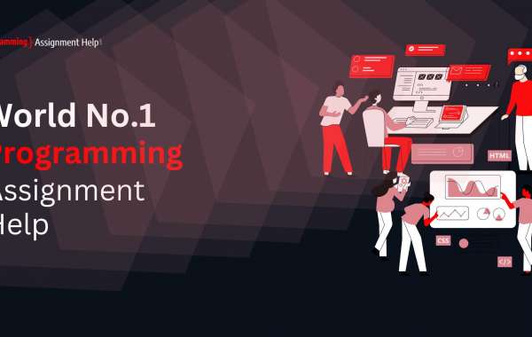 PROGRAMMING ASSIGNMENT HELP ONLINE