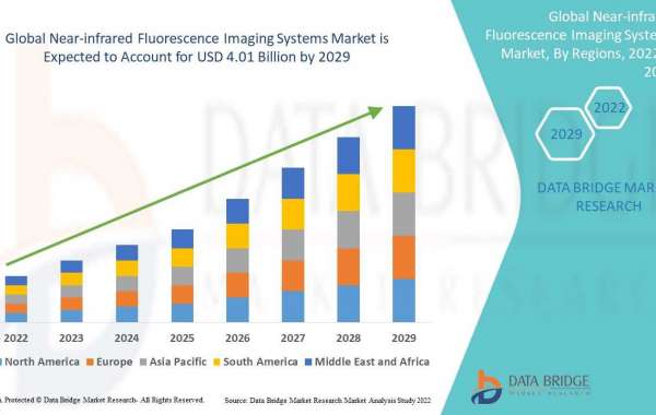 Near-infrared Fluorescence Imaging Systems Market Growing Popularity