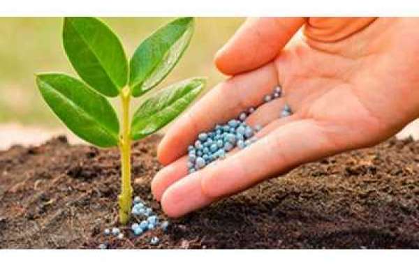 Agricultural Micronutrients Market Size Growing at 8.1% CAGR Set to Reach USD 6,250.24 Million By 2028